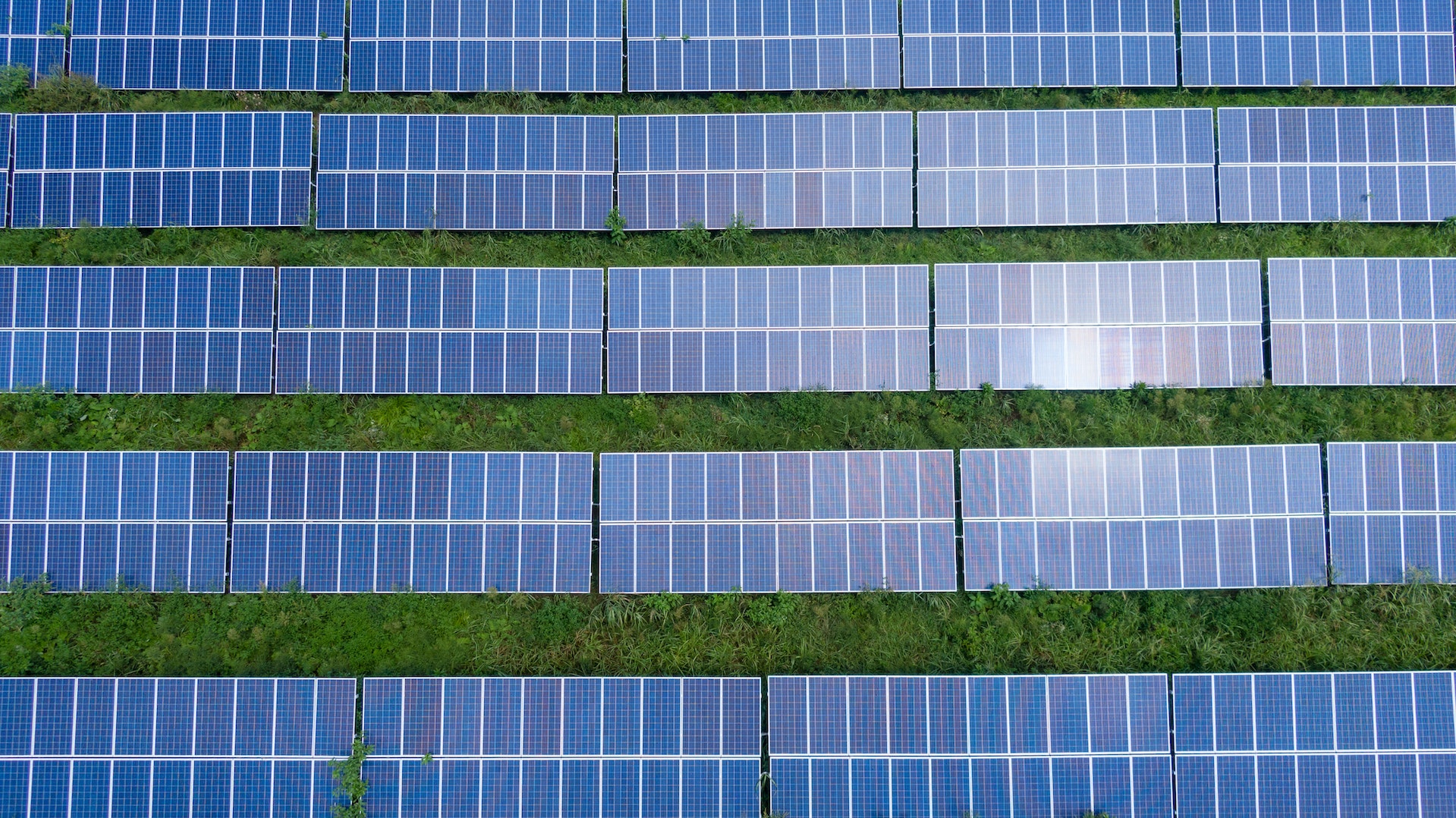 Un gran numero di pannelli fotovoltaici posti sul del verde